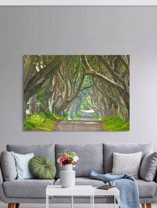Arboles Enredados. Cuadro/Lienzo (sin bastidor)