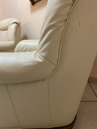 Poltrone in pelle