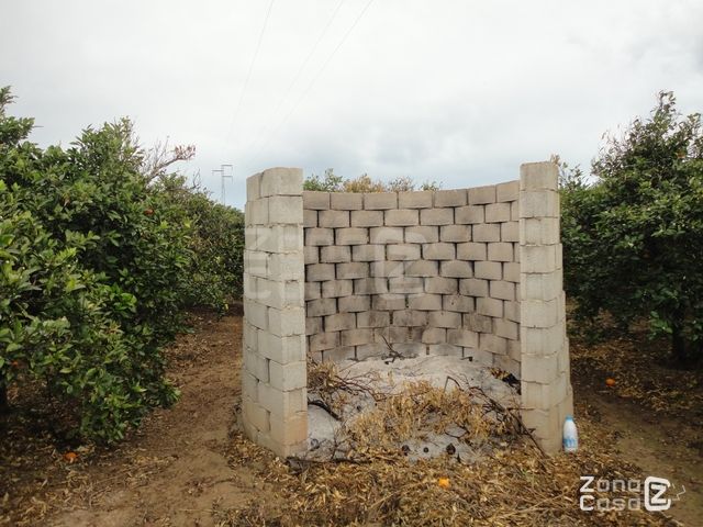 FINCA RUSTICA o CAMPO EN POLINYA DE XUQUER