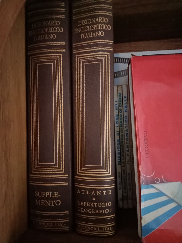 Dizionario enciclopedico Treccani