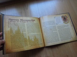 EL LIBRO DE ORO DE LOS MAGOS Y BRUJAS TATANKA BOOK