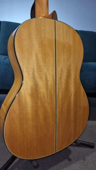 Guitarra Fabrik Modelo PM Amplificada