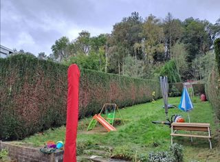 Jardinero economíco