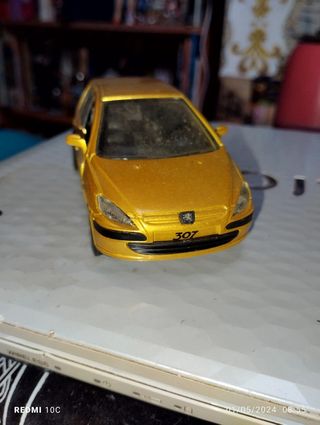 Peugeot 307 modellino