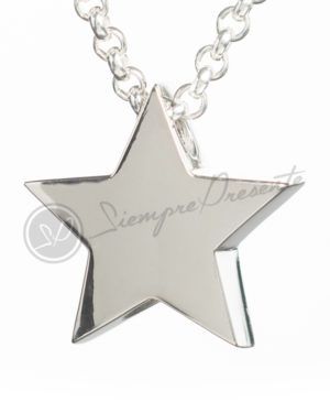 Cenizas colgantes y joyas