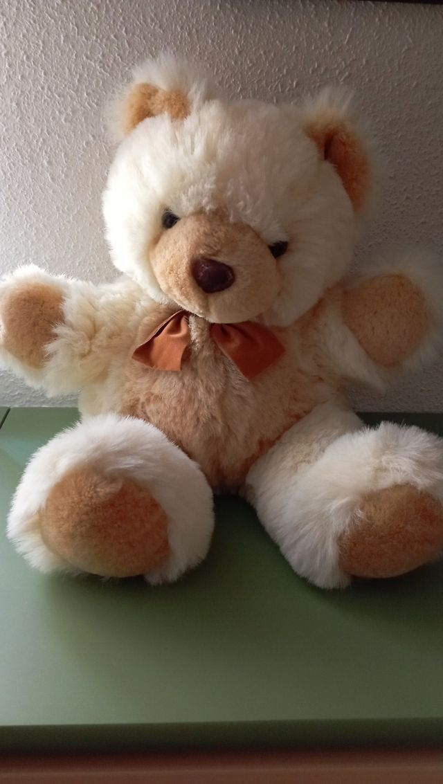 Oso de peluche