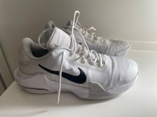 Nike AirMax blancas solo envios