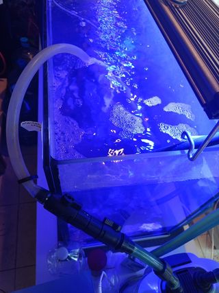 Acuario 260l + Aqua Control