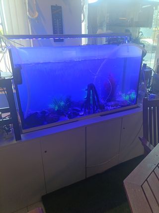 Acuario 260l + Aqua Control