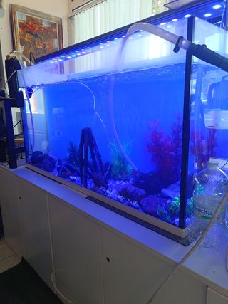 Acuario 260l + Aqua Control