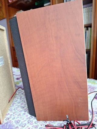 Altavoces Sony 