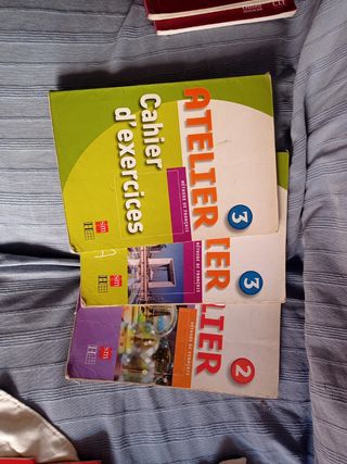 Lote 9 libros Francés