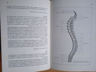LIBRO 'GUÍA PRÁCTICA DE LAS GIMNASIAS SUAVES'