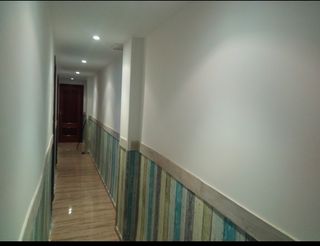 Pintor,alisado gotelé,lacado de puertas 
