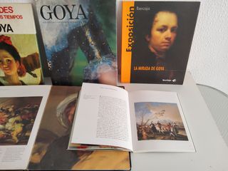 Lote 5 Libros de arte (7 libros) Goya