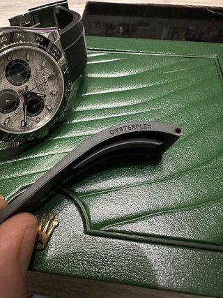 Correa oysterflex
