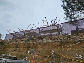 Valla de hierro forjado