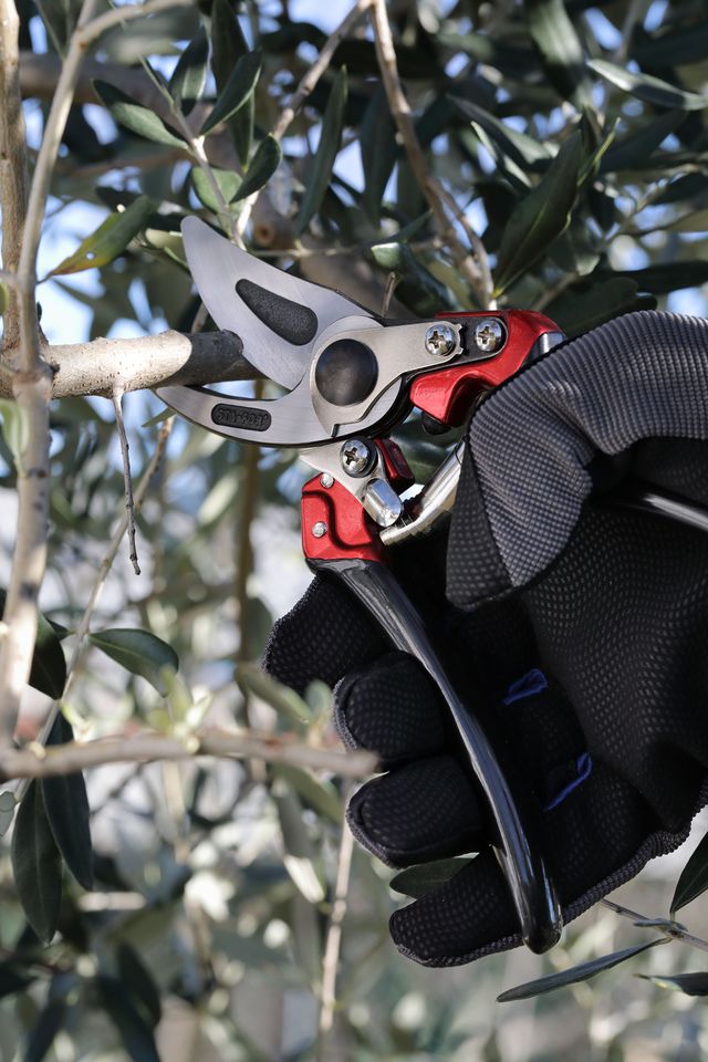 Tijeras manual StaFor 930