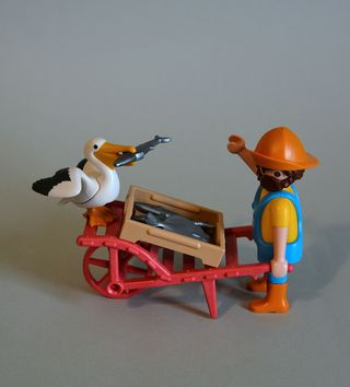Playmobil Pescador Con Pelicano