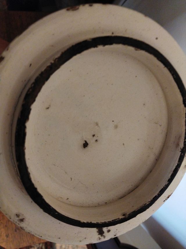 Vaso Albarello in maiolica Rosmarino