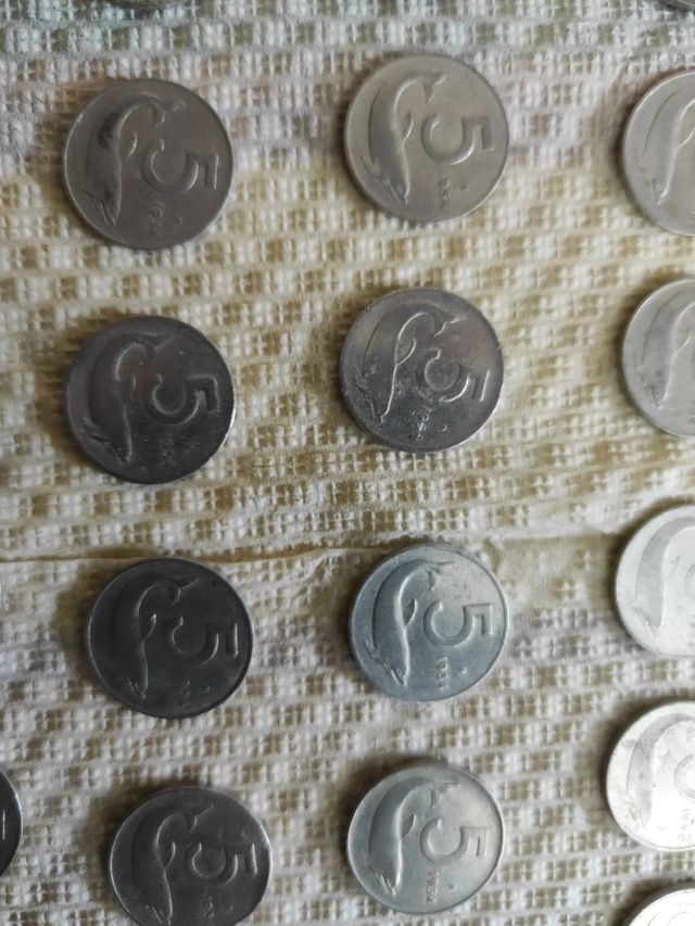 Serie di 30 monete 5 lire 1954