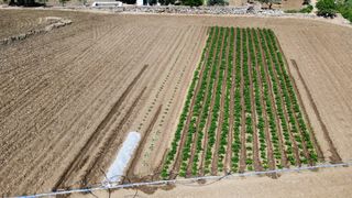 FOTOS Y VIDEOS CON DRON PROFESIONAL