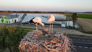 FOTOS Y VIDEOS CON DRON PROFESIONAL