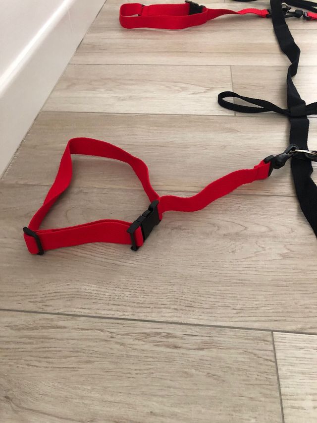 Cuerda transporte escolar