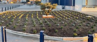 Jardinero particular