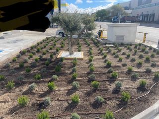 Jardinero particular