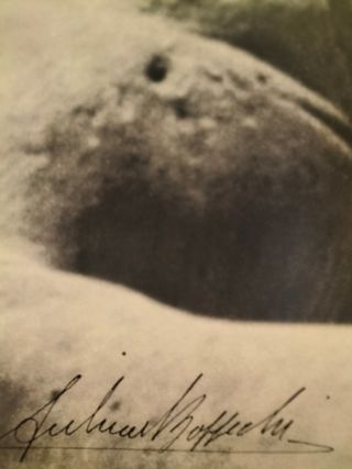 Fotografía de Andrea Bazzechi