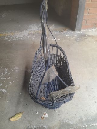 Cesta