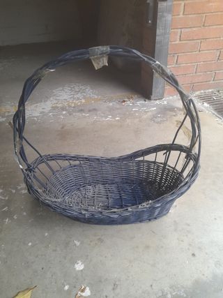 Cesta