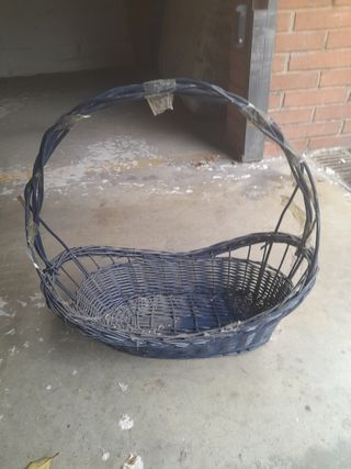 Cesta