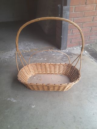Cesta