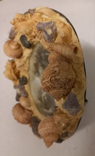 Portafoto conchiglie