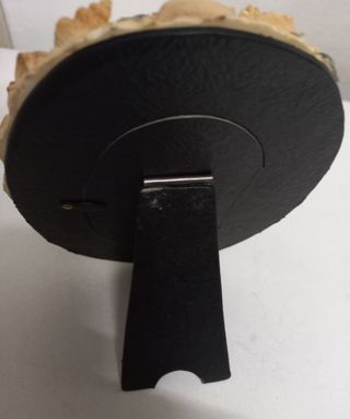 Portafoto conchiglie