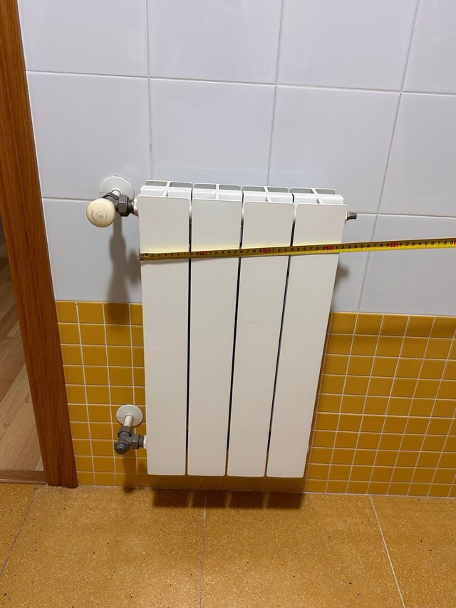 Radiadores calefacción GIACOMINI