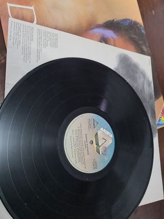 Vinile