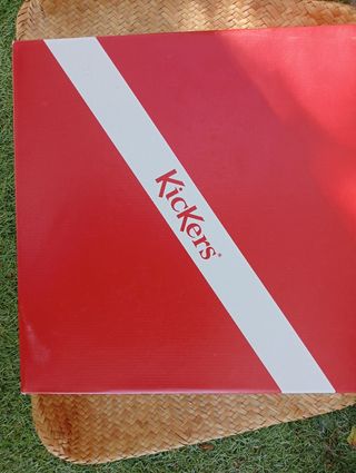 Botines kickers