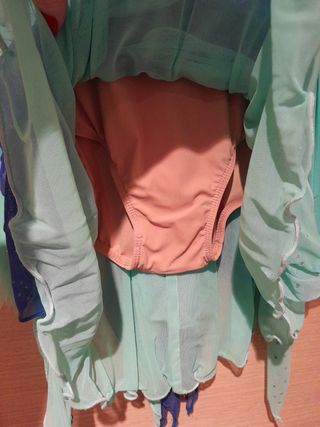 Body pattinaggio o danza