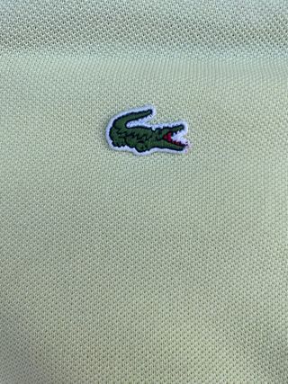 Polo Lacoste 