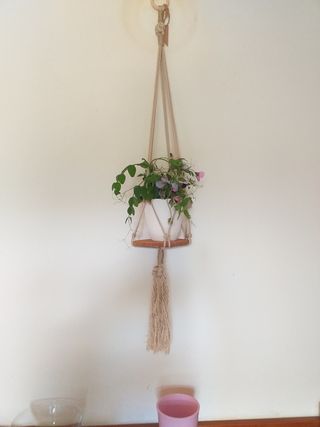 2 Porta piante appese da parete rustico  handmade 