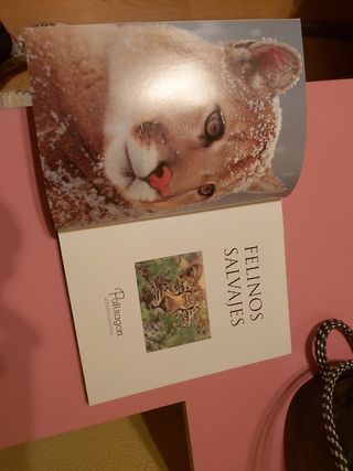 dama del alba, La (Castalia Prima) (Spanish Edition)