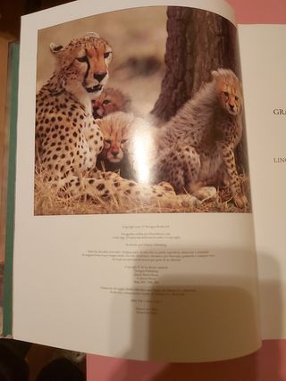 dama del alba, La (Castalia Prima) (Spanish Edition)