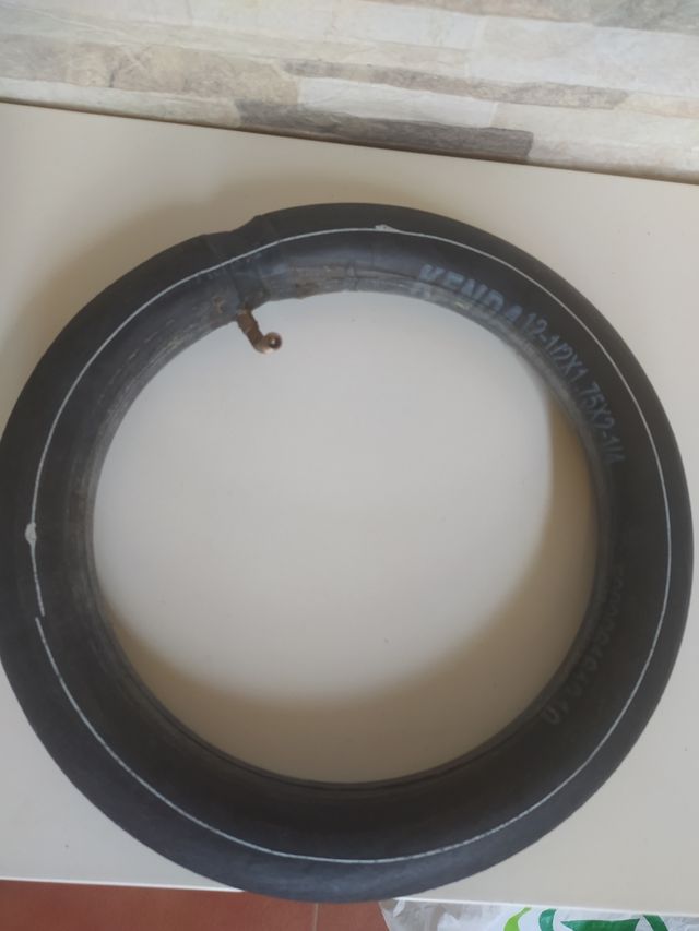 Cámara bubaggoo donkey