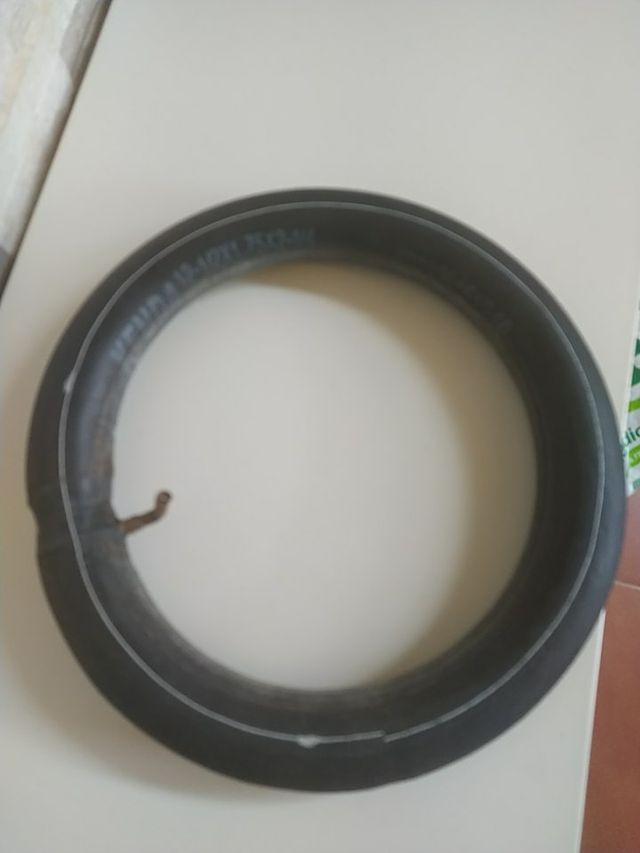 Cámara bubaggoo donkey