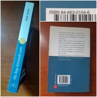 ELLA LLEGA DEMASIADO TARDE, de Mary Wings.