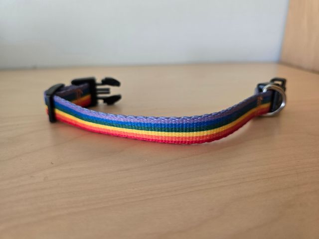 Collar para perro