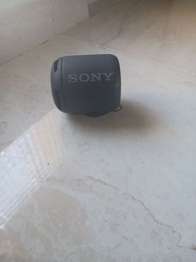 Altoparlante Sony